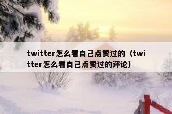 twitter怎么看自己点赞过的（twitter怎么看自己点赞过的评论） 第1张