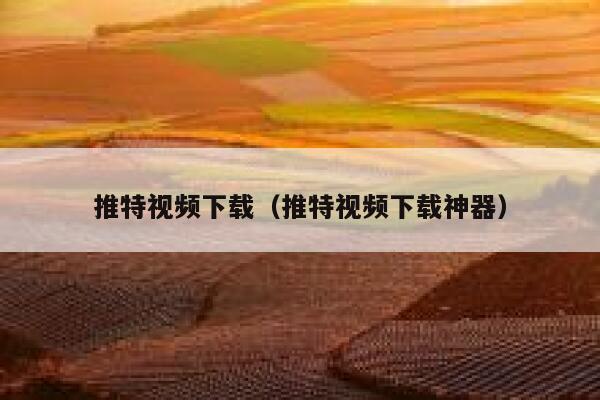 推特视频下载（推特视频下载神器） 第1张