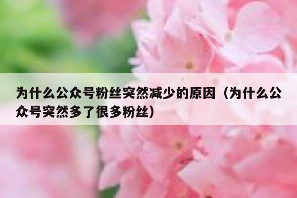 为什么公众号粉丝突然减少的原因（为什么公众号突然多了很多粉丝） 第1张