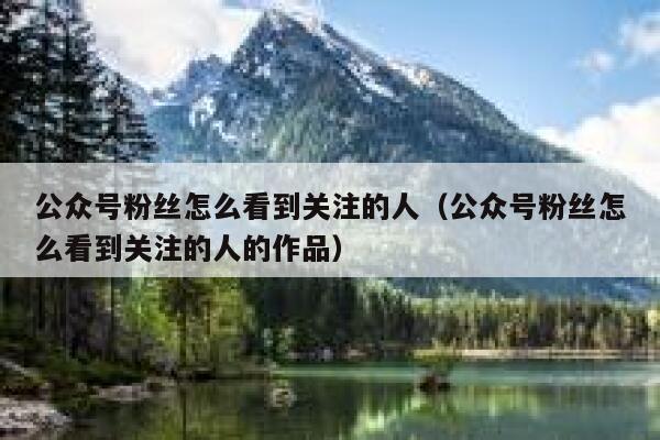公众号粉丝怎么看到关注的人（公众号粉丝怎么看到关注的人的作品） 第1张