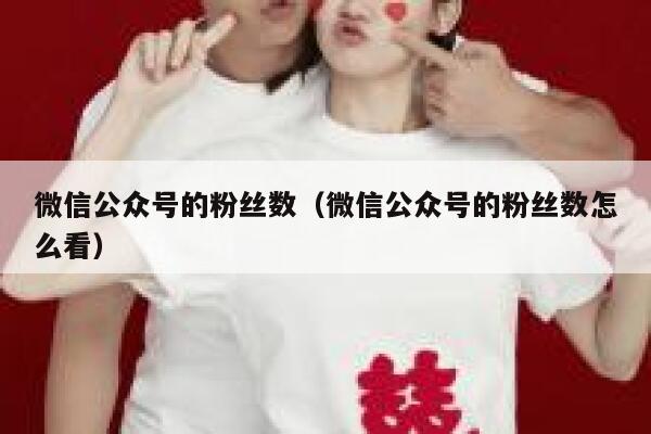 微信公众号的粉丝数(微信公众号的粉丝数怎么看) 第1张 微信公众号的粉丝数(微信公众号的粉丝数怎么看) 第1张