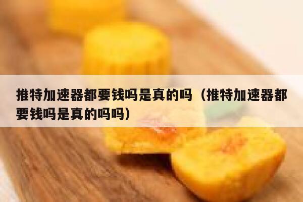 推特加速器都要钱吗是真的吗（推特加速器都要钱吗是真的吗吗） 第1张