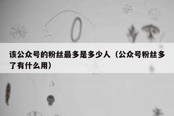 该公众号的粉丝最多是多少人(公众号粉丝多了有什么用) 第1张 该公众号的粉丝最多是多少人(公众号粉丝多了有什么用) 第1张