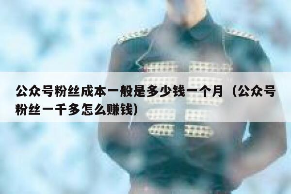 公众号粉丝成本一般是多少钱一个月(公众号粉丝一千多怎么赚钱) 第1张 公众号粉丝成本一般是多少钱一个月(公众号粉丝一千多怎么赚钱) 第1张