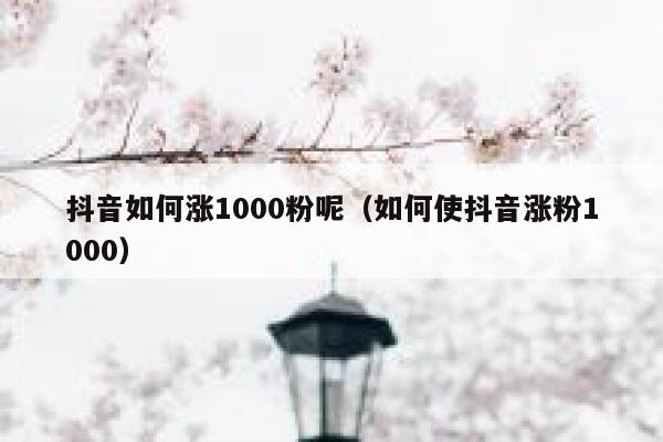 抖音如何涨1000粉呢(如何使抖音涨粉1000) 第1张 抖音如何涨1000粉呢(如何使抖音涨粉1000) 第1张