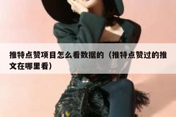 推特点赞项目怎么看数据的(推特点赞过的推文在哪里看) 第1张 推特点赞项目怎么看数据的(推特点赞过的推文在哪里看) 第1张