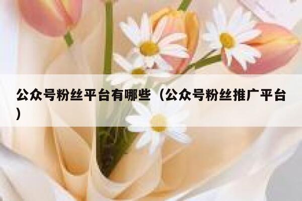 公众号粉丝平台有哪些(公众号粉丝推广平台) 第1张 公众号粉丝平台有哪些(公众号粉丝推广平台) 第1张