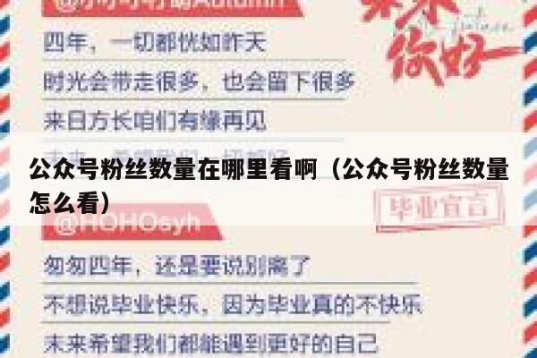 公众号粉丝数量在哪里看啊（公众号粉丝数量怎么看） 第1张