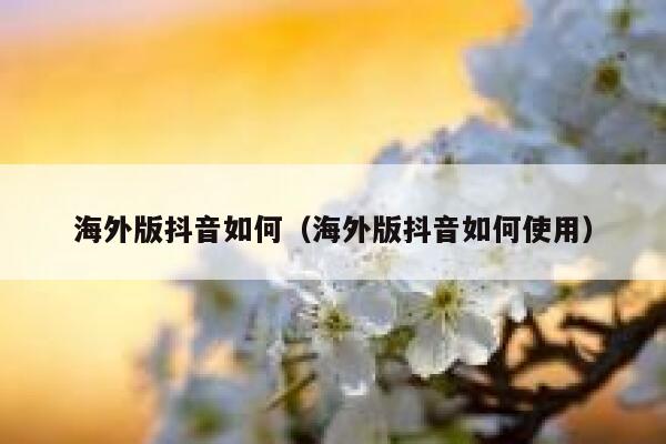 海外版抖音如何（海外版抖音如何使用） 第1张