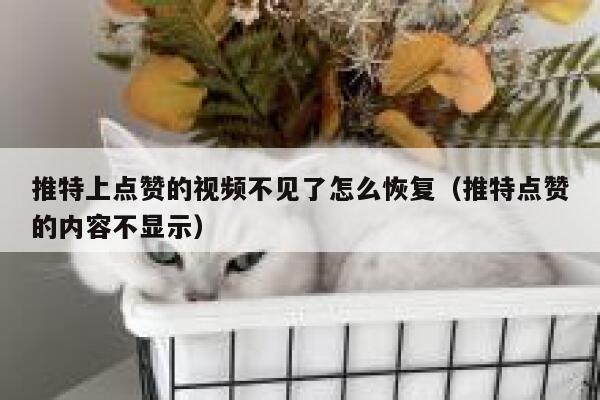 推特上点赞的视频不见了怎么恢复（推特点赞的内容不显示） 第1张