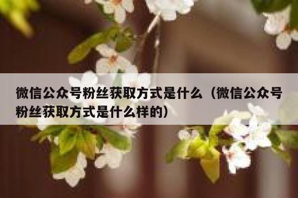 微信公众号粉丝获取方式是什么（微信公众号粉丝获取方式是什么样的） 第1张