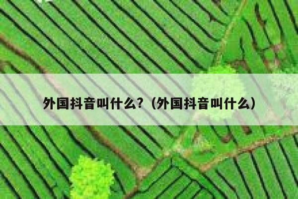 外国抖音叫什么?(外国抖音叫什么) 第1张 外国抖音叫什么?(外国抖音叫什么) 第1张