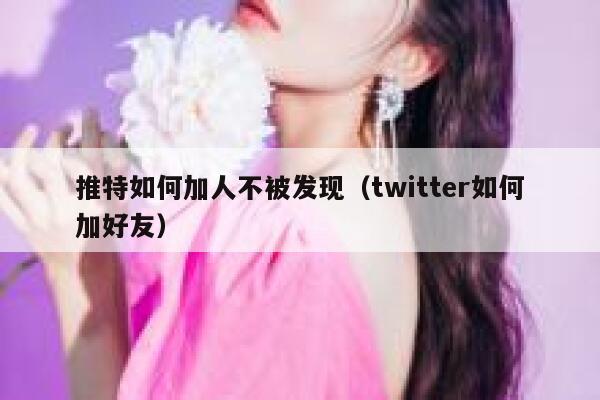 推特如何加人不被发现（twitter如何加好友） 第1张