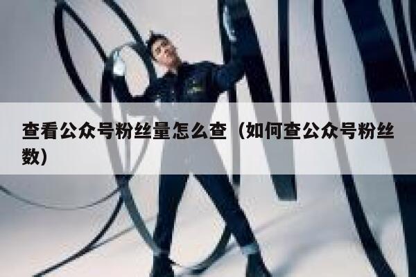 查看公众号粉丝量怎么查（如何查公众号粉丝数） 第1张