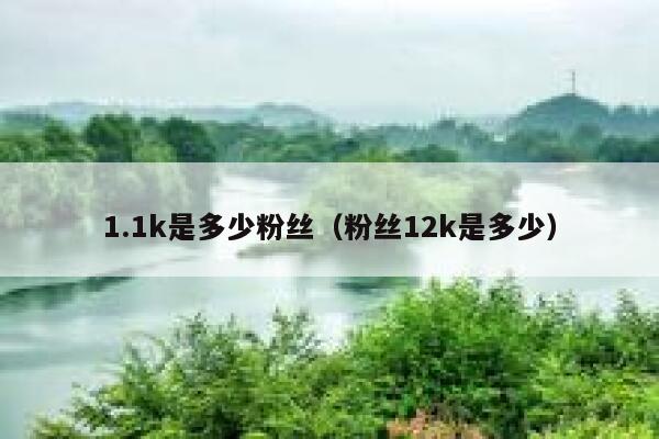 1.1k是多少粉丝（粉丝12k是多少） 第1张