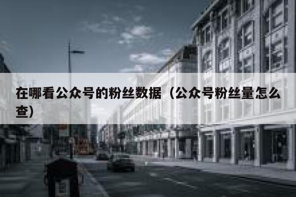 在哪看公众号的粉丝数据（公众号粉丝量怎么查） 第1张