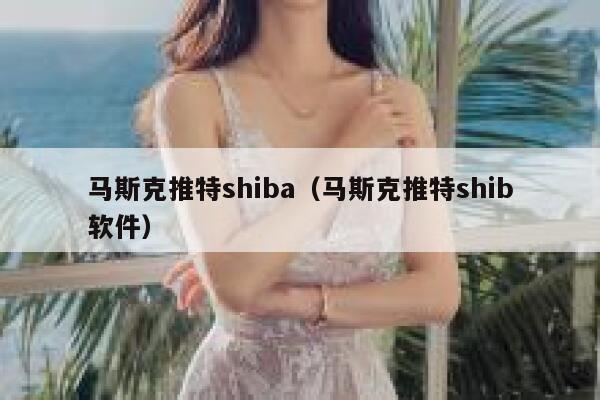 马斯克推特shiba（马斯克推特shib软件） 第1张