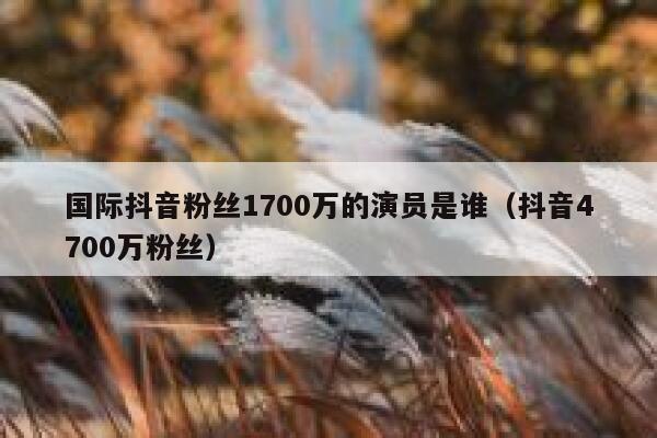 国际抖音粉丝1700万的演员是谁（抖音4700万粉丝） 第1张