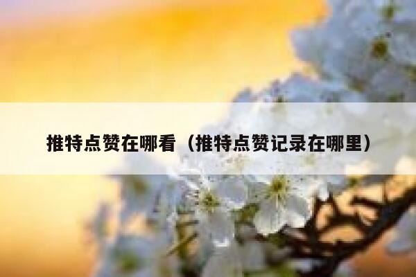 推特点赞在哪看（推特点赞记录在哪里） 第1张