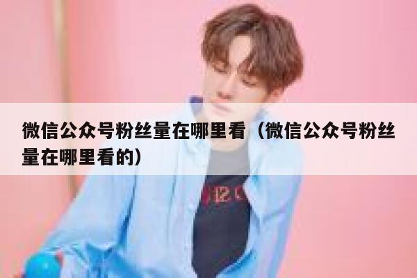 微信公众号粉丝量在哪里看(微信公众号粉丝量在哪里看的) 第1张 微信公众号粉丝量在哪里看(微信公众号粉丝量在哪里看的) 第1张