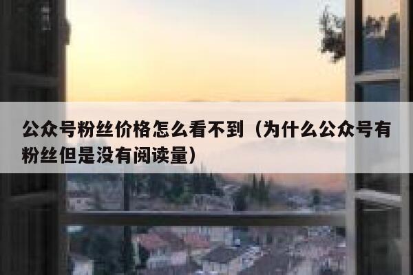 公众号粉丝价格怎么看不到（为什么公众号有粉丝但是没有阅读量） 第1张