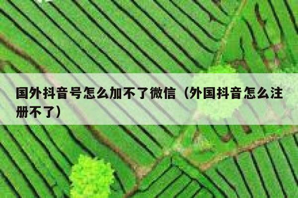 国外抖音号怎么加不了微信（外国抖音怎么注册不了） 第1张