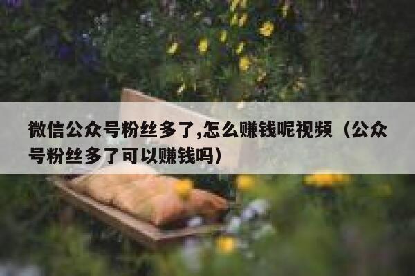 微信公众号粉丝多了,怎么赚钱呢视频（公众号粉丝多了可以赚钱吗） 第1张