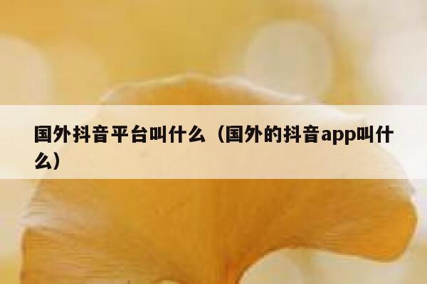 国外抖音平台叫什么（国外的抖音app叫什么） 第1张