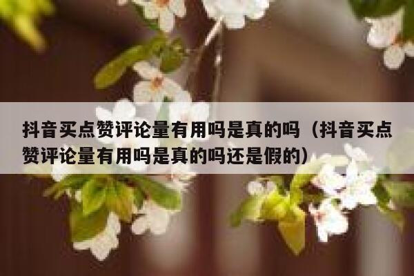 抖音买点赞评论量有用吗是真的吗（抖音买点赞评论量有用吗是真的吗还是假的） 第1张