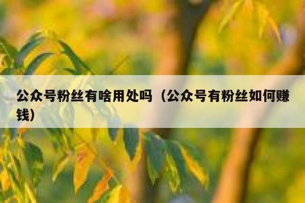 公众号粉丝有啥用处吗（公众号有粉丝如何赚钱） 第1张