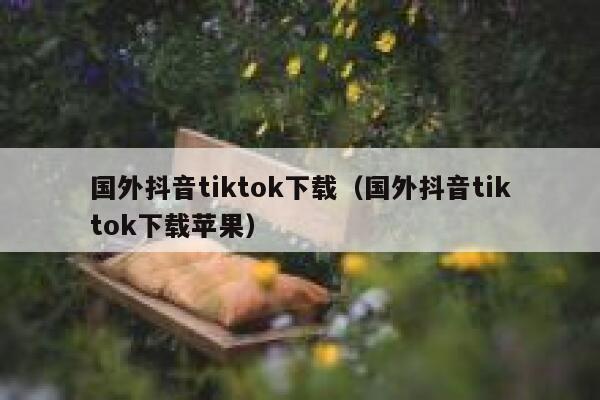 国外抖音tiktok下载（国外抖音tiktok下载苹果） 第1张