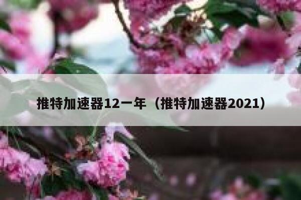 推特加速器12一年（推特加速器2021） 第1张