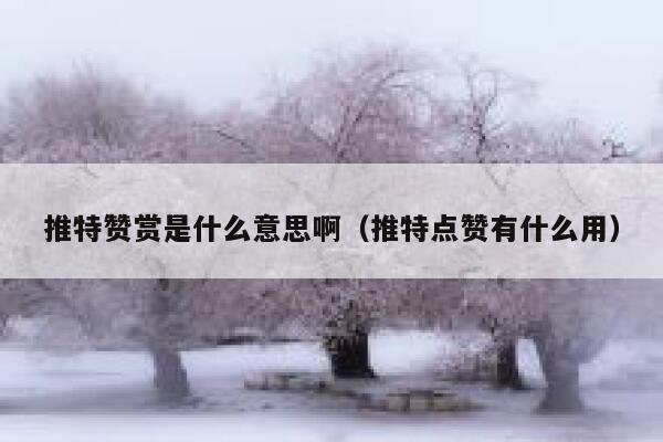 推特赞赏是什么意思啊（推特点赞有什么用） 第1张