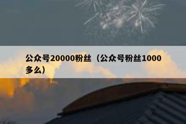 公众号20000粉丝（公众号粉丝1000多么） 第1张