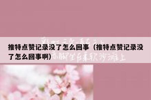 推特点赞记录没了怎么回事（推特点赞记录没了怎么回事啊） 第1张