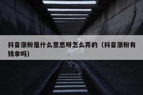 抖音涨粉是什么意思呀怎么弄的（抖音涨粉有钱拿吗） 第1张