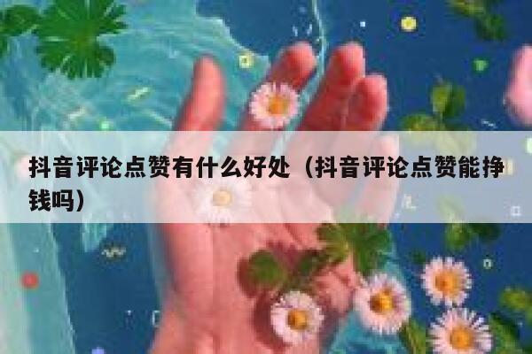 抖音评论点赞有什么好处（抖音评论点赞能挣钱吗） 第1张