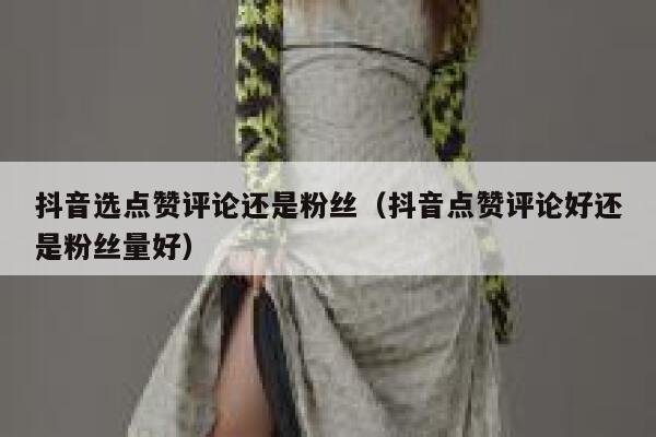 抖音选点赞评论还是粉丝（抖音点赞评论好还是粉丝量好） 第1张