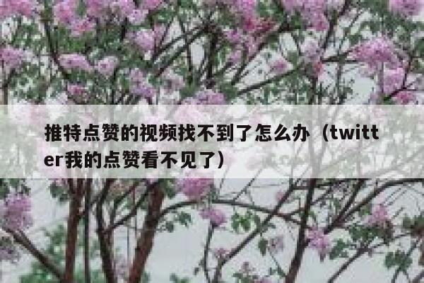 推特点赞的视频找不到了怎么办（twitter我的点赞看不见了） 第1张