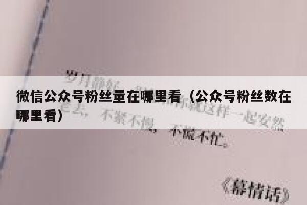 微信公众号粉丝量在哪里看（公众号粉丝数在哪里看） 第1张