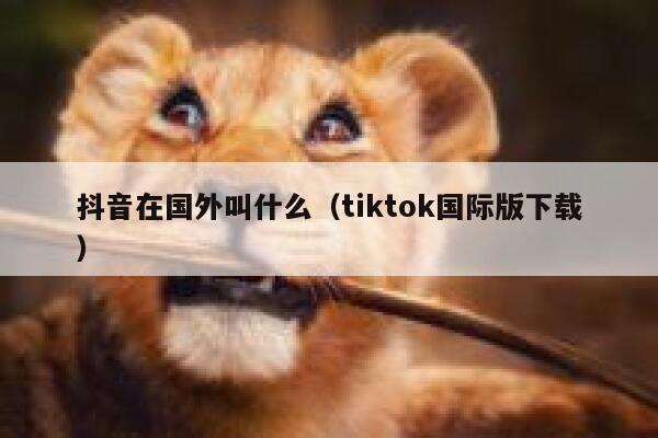 抖音在国外叫什么（tiktok国际版下载） 第1张