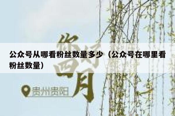 公众号从哪看粉丝数量多少（公众号在哪里看粉丝数量） 第1张