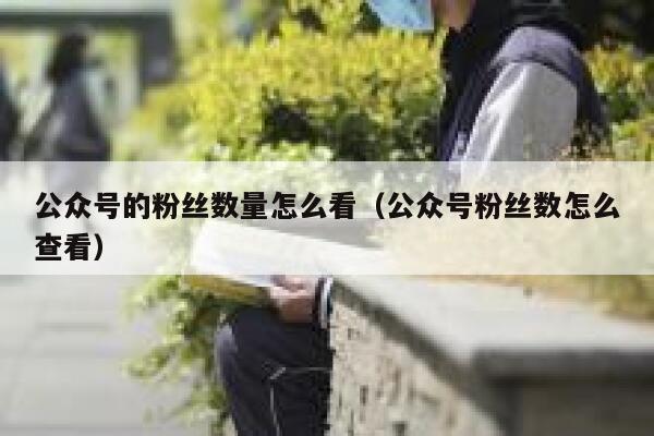 公众号的粉丝数量怎么看（公众号粉丝数怎么查看） 第1张