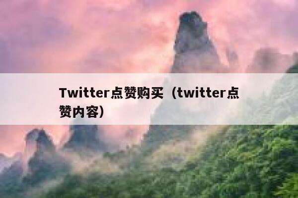 Twitter点赞购买（twitter点赞内容） 第1张