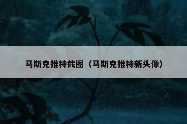 马斯克推特截图（马斯克推特新头像） 第1张