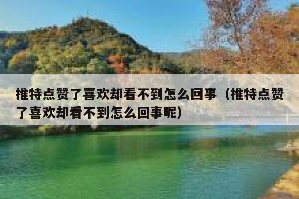 推特点赞了喜欢却看不到怎么回事（推特点赞了喜欢却看不到怎么回事呢） 第1张