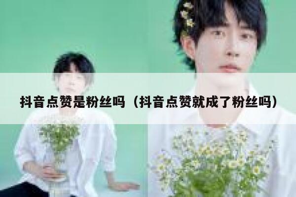 抖音点赞是粉丝吗（抖音点赞就成了粉丝吗） 第1张