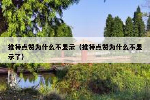推特点赞为什么不显示（推特点赞为什么不显示了） 第1张
