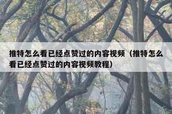 推特怎么看已经点赞过的内容视频（推特怎么看已经点赞过的内容视频教程） 第1张