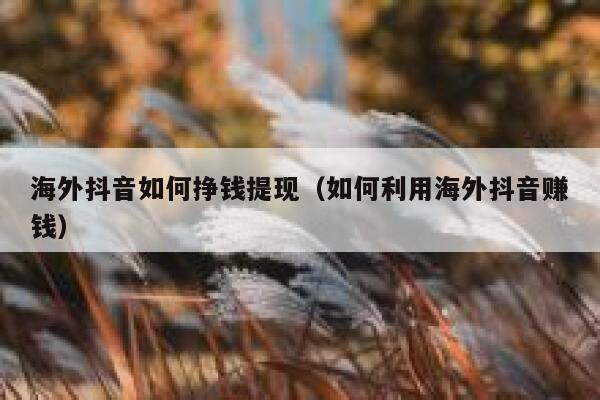 海外抖音如何挣钱提现（如何利用海外抖音赚钱） 第1张
